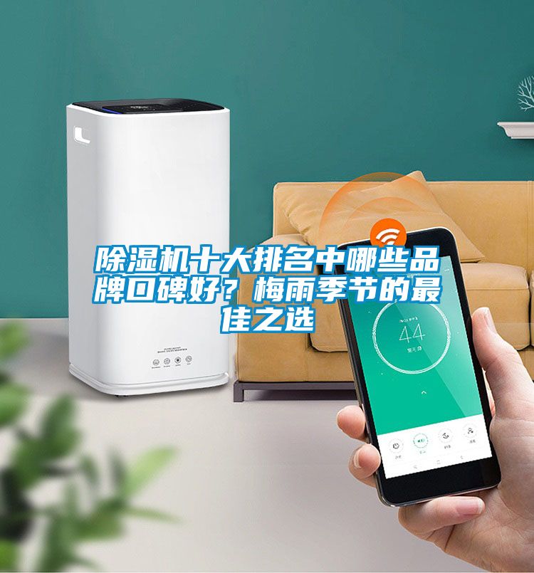 除濕機十大排名中哪些品牌口碑好？梅雨季節的最佳之選
