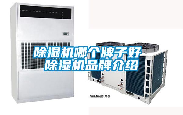除濕機(jī)哪個牌子好 除濕機(jī)品牌介紹