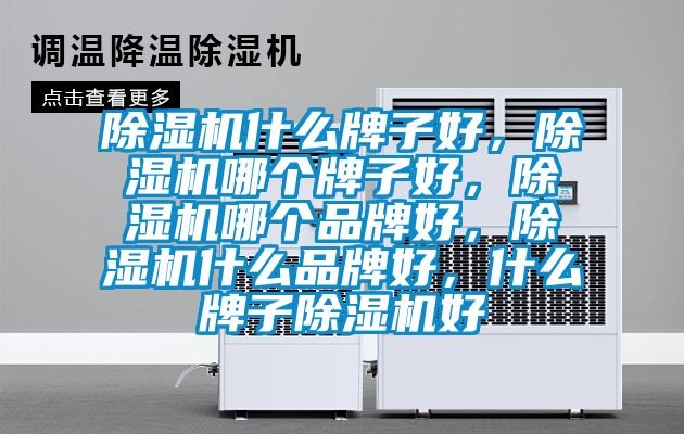 除濕機(jī)什么牌子好，除濕機(jī)哪個牌子好，除濕機(jī)哪個品牌好，除濕機(jī)什么品牌好，什么牌子除濕機(jī)好