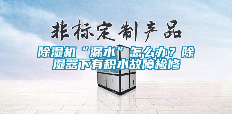 除濕機(jī)“漏水”怎么辦？除濕器下有積水故障檢修