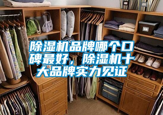 除濕機(jī)品牌哪個(gè)口碑最好,除濕機(jī)十大品牌實(shí)力見(jiàn)證