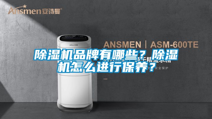 除濕機品牌有哪些？除濕機怎么進行保養？