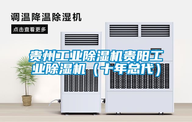 貴州工業除濕機貴陽工業除濕機(十年總代)