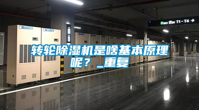 轉(zhuǎn)輪除濕機(jī)是啥基本原理呢?_重復(fù)