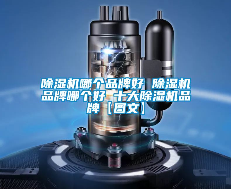 除濕機(jī)哪個品牌好 除濕機(jī)品牌哪個好 十大除濕機(jī)品牌【圖文】