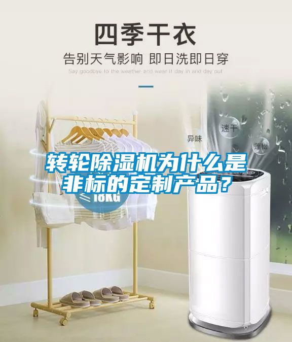 轉輪除濕機為什么是非標的定制產品?