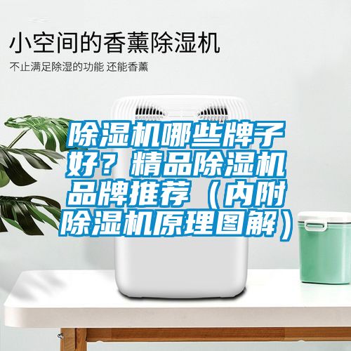 除濕機(jī)哪些牌子好?精品除濕機(jī)品牌推薦(內(nèi)附除濕機(jī)原理圖解)