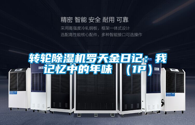 轉輪除濕機羅天金日記:我記憶中的年味 (1P)