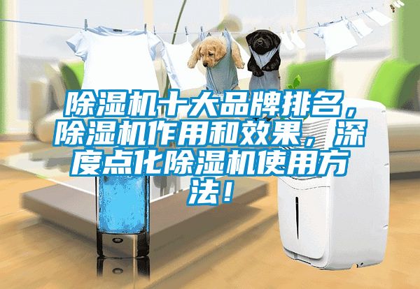 除濕機十大品牌排名，除濕機作用和效果，深度點化除濕機使用方法！