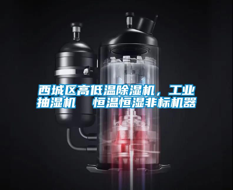 西城區高低溫除濕機，工業抽濕機  恒溫恒濕非標機器