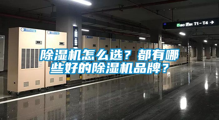 除濕機怎么選？都有哪些好的除濕機品牌？