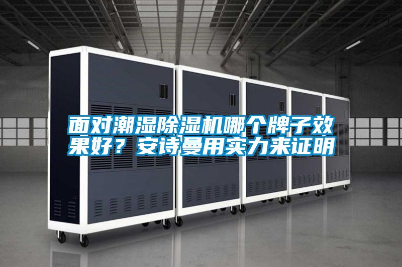 面對潮濕除濕機哪個牌子效果好?安詩曼用實力來證明