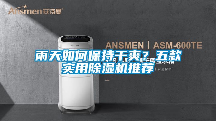 雨天如何保持干爽?五款實(shí)用除濕機(jī)推薦