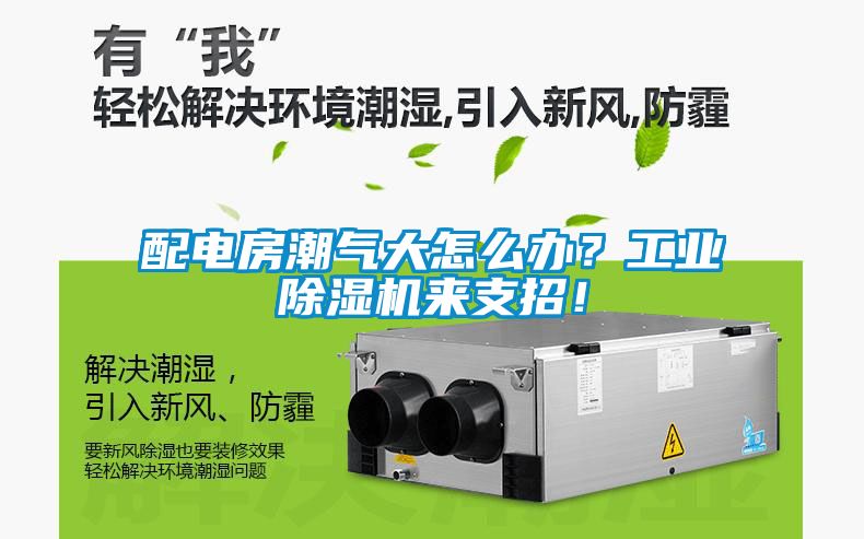 配電房潮氣大怎么辦?工業(yè)除濕機(jī)來支招!