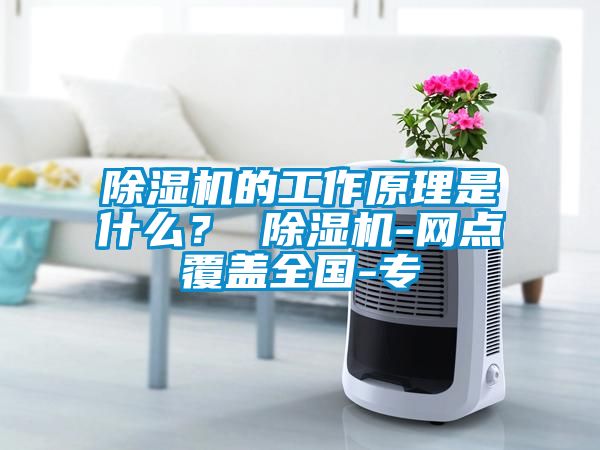 除濕機的工作原理是什么? 除濕機-網點覆蓋全國-專