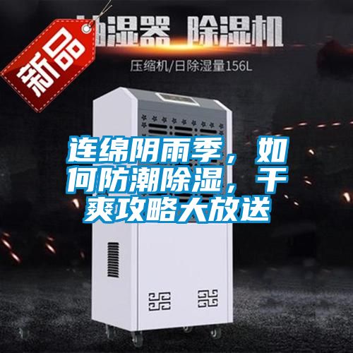 連綿陰雨季,如何防潮除濕,干爽攻略大放送