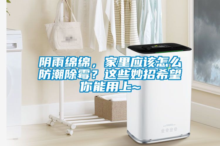 陰雨綿綿，家里應(yīng)該怎么防潮除霉？這些妙招希望你能用上~