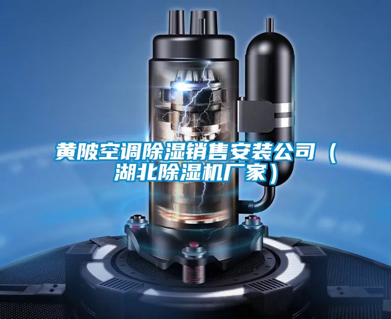 黃陂空調(diào)除濕銷售安裝公司(湖北除濕機(jī)廠家)