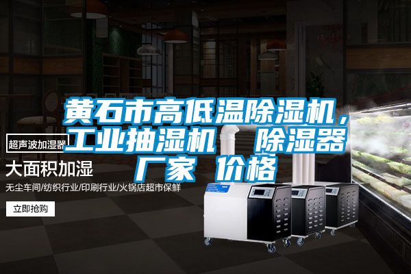 黃石市高低溫除濕機(jī),工業(yè)抽濕機(jī) 除濕器廠家 價(jià)格