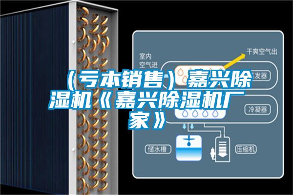 (虧本銷售)嘉興除濕機《嘉興除濕機廠家》