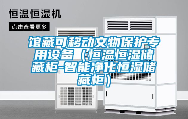 館藏可移動文物保護專用設(shè)備(恒溫恒濕儲藏柜-智能凈化恒濕儲藏柜)