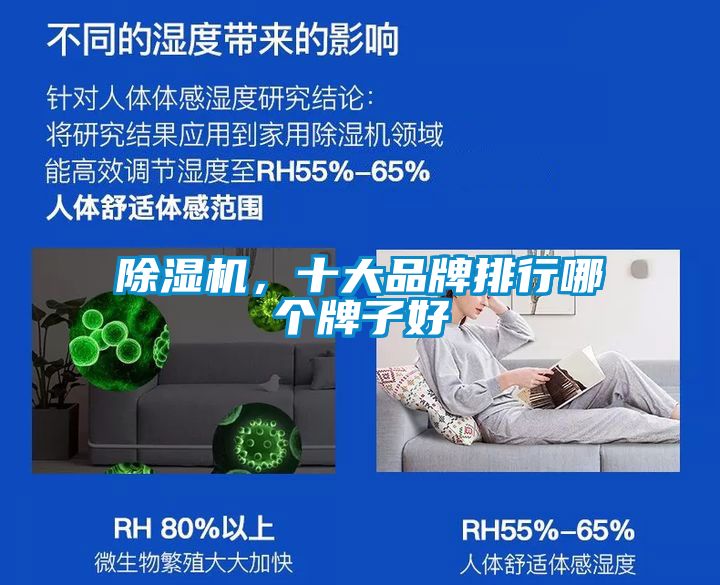 除濕機，十大品牌排行哪個牌子好