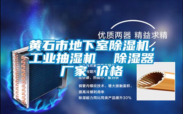 黃石市地下室除濕機(jī),工業(yè)抽濕機(jī) 除濕器廠家 價(jià)格