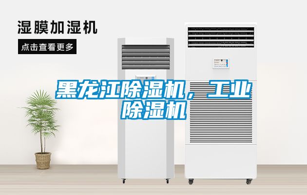 黑龍江除濕機,工業除濕機