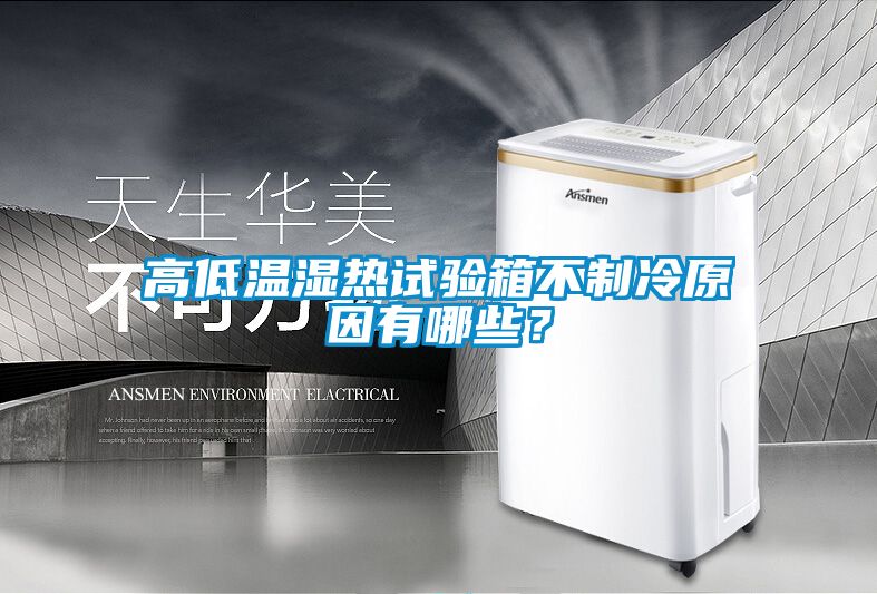 高低溫濕熱試驗箱不制冷原因有哪些?